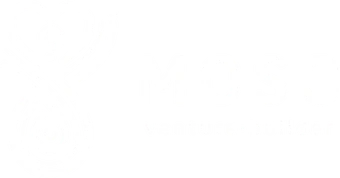 MOSO · venture builder